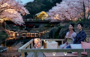 جشن شکوفه های گیلاس ژاپن | هانامی و نحوه برگزاری آن